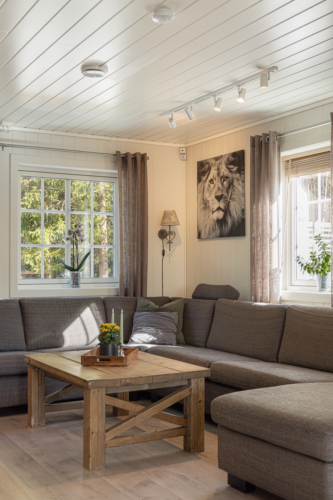 Gulvet har 1-stavs laminat, mens veggflatene har malte panelplater. Galleribilde