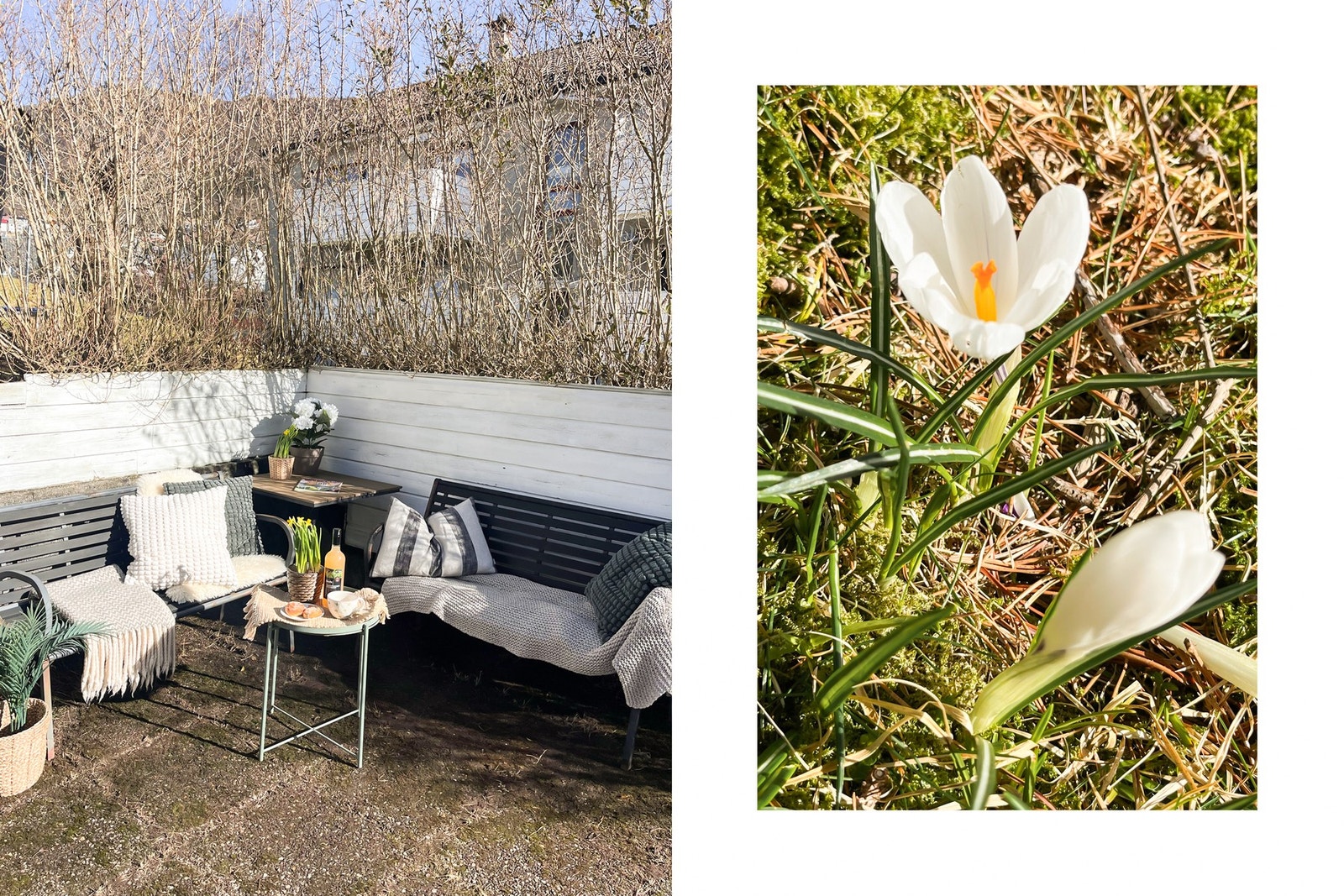 En fin plass å nyte vårsolen! Galleribilde