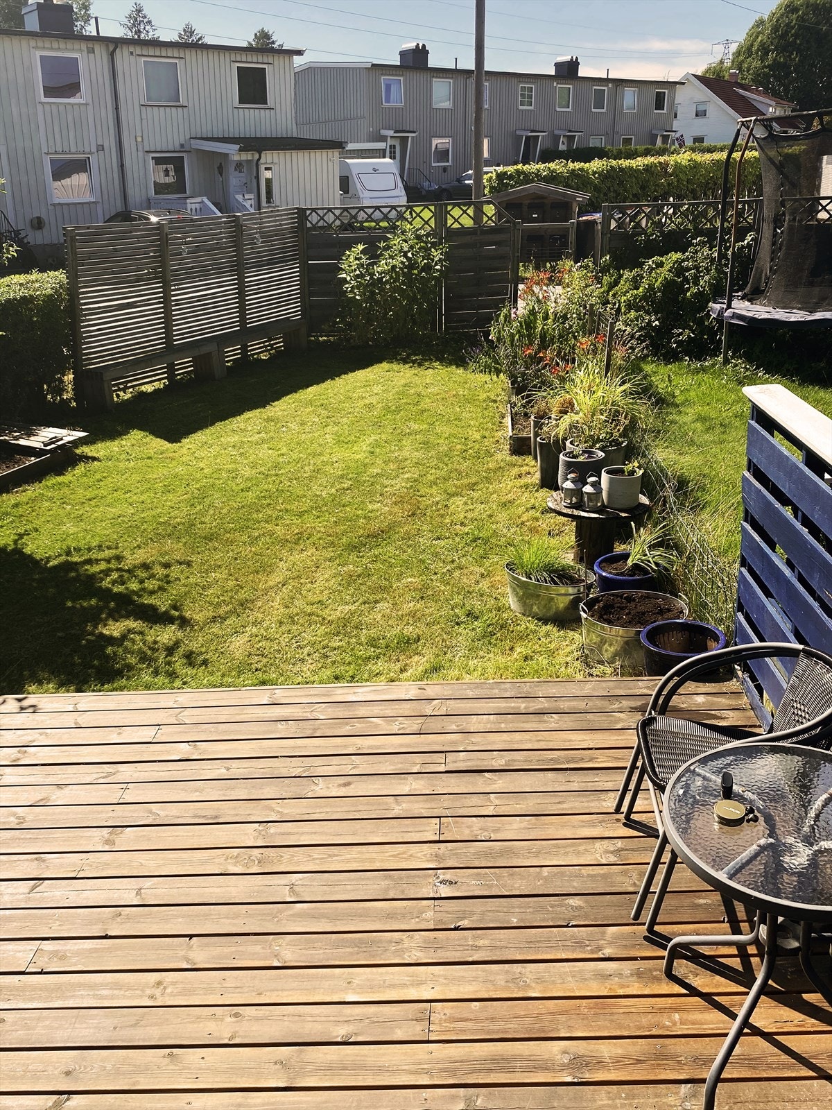 Selgers sommerbilder fra 2025 Galleribilde