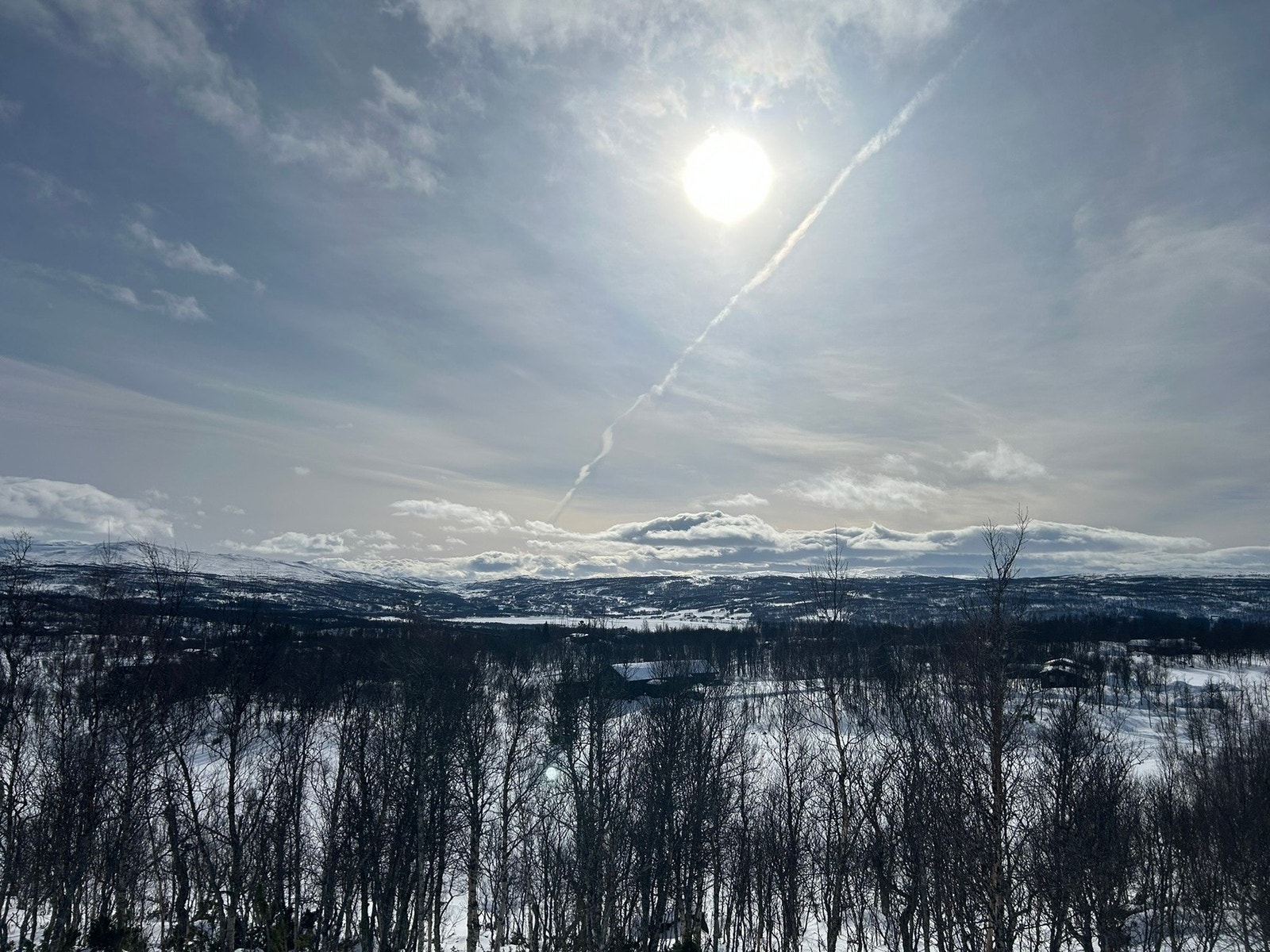Meglers private vinterbilde. Galleribilde