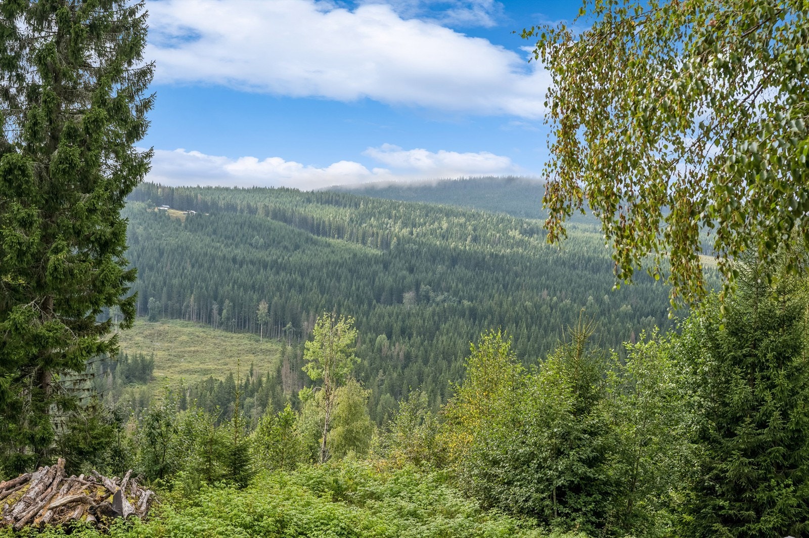 Flott utsikt over Hurdal Galleribilde