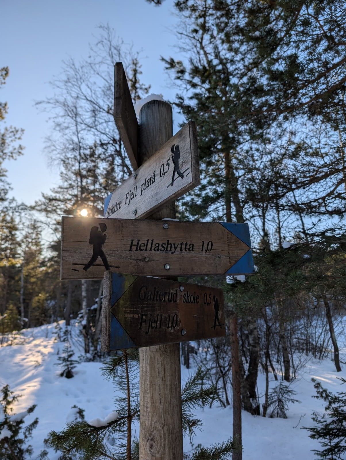 Turstier i området Galleribilde