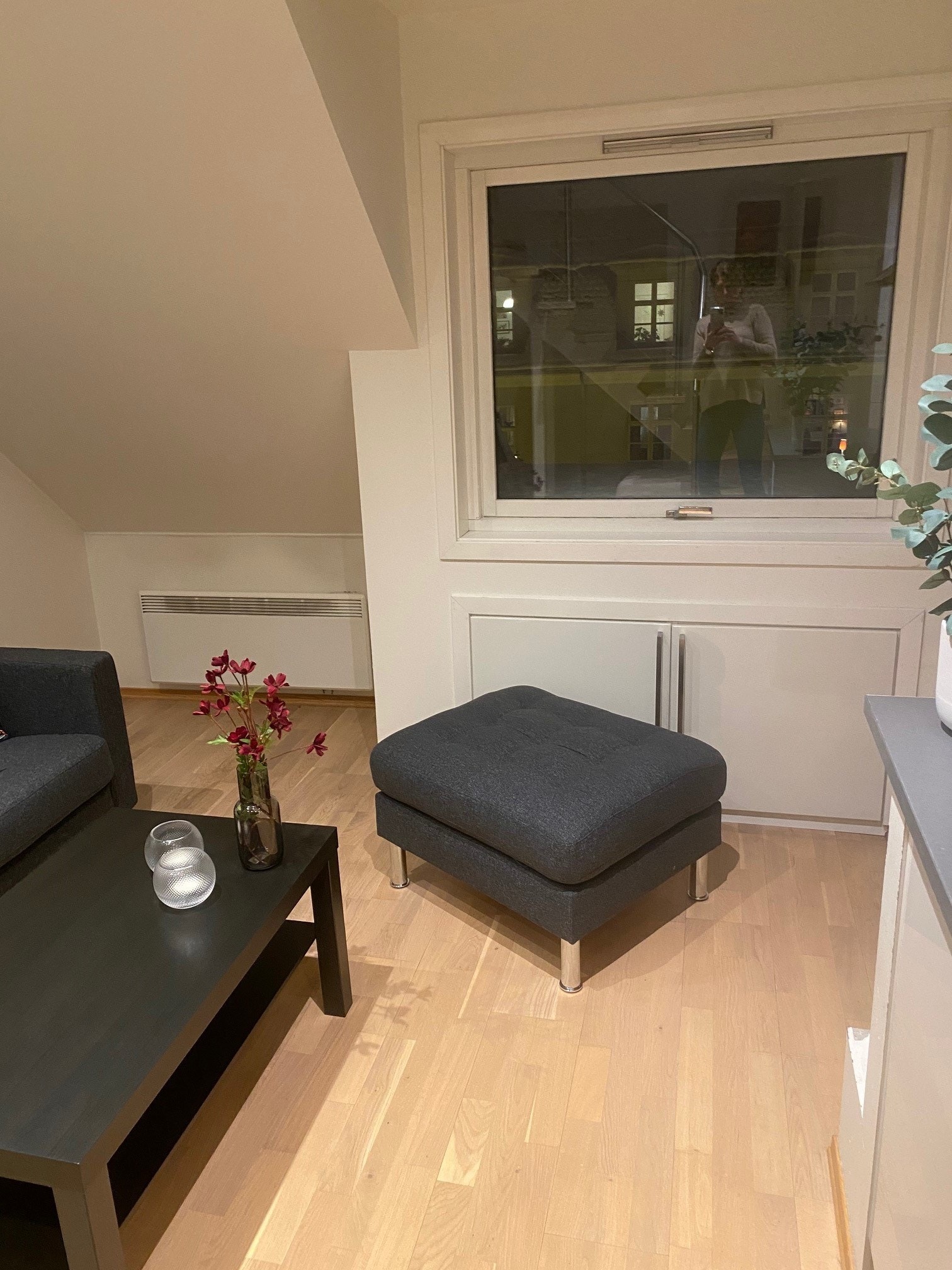 Stue og flott vind Galleribilde
