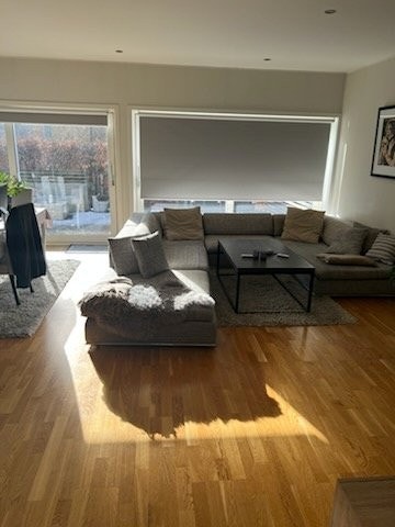 Stor og lys stue Galleribilde