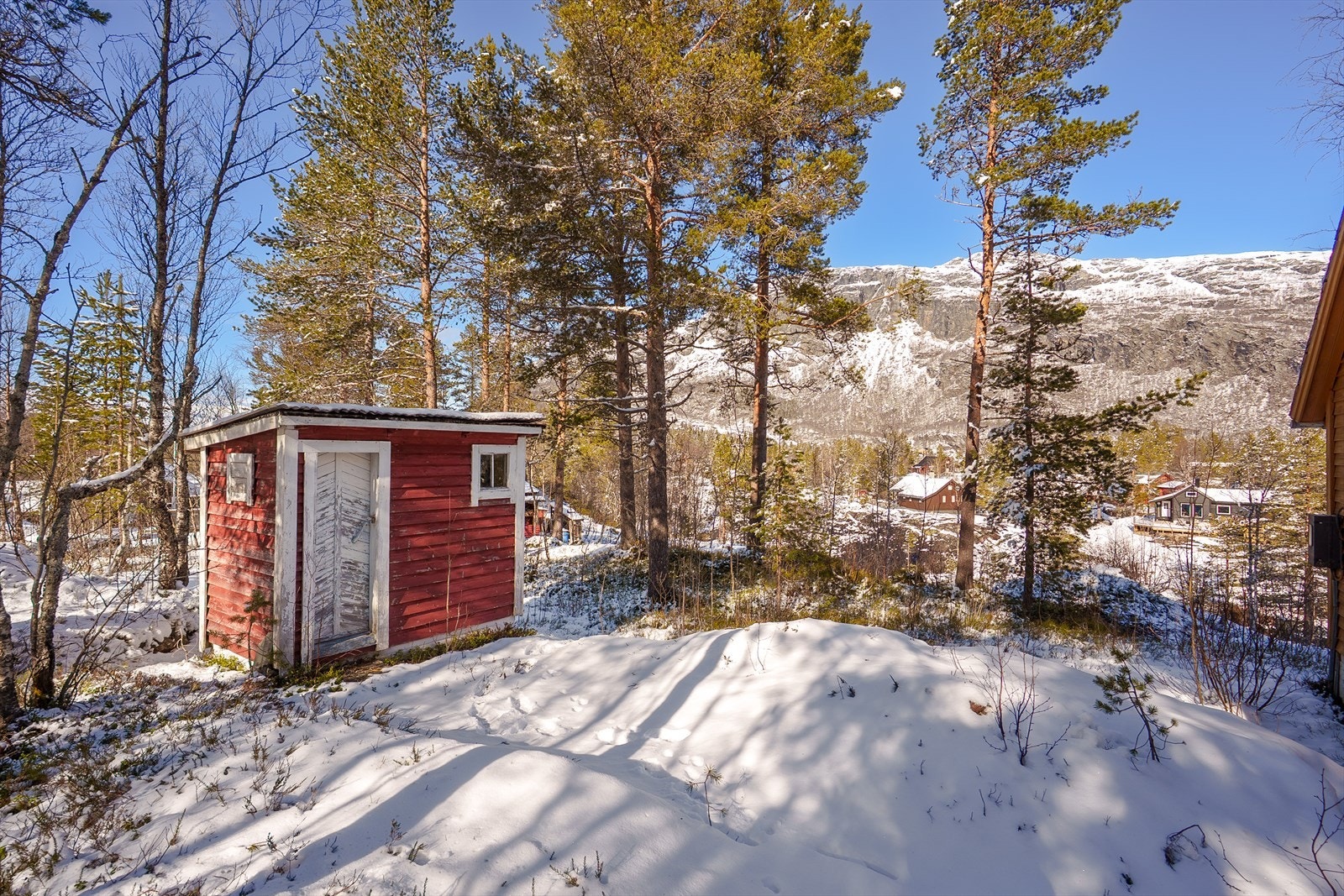 Utedo/vedskjul Galleribilde