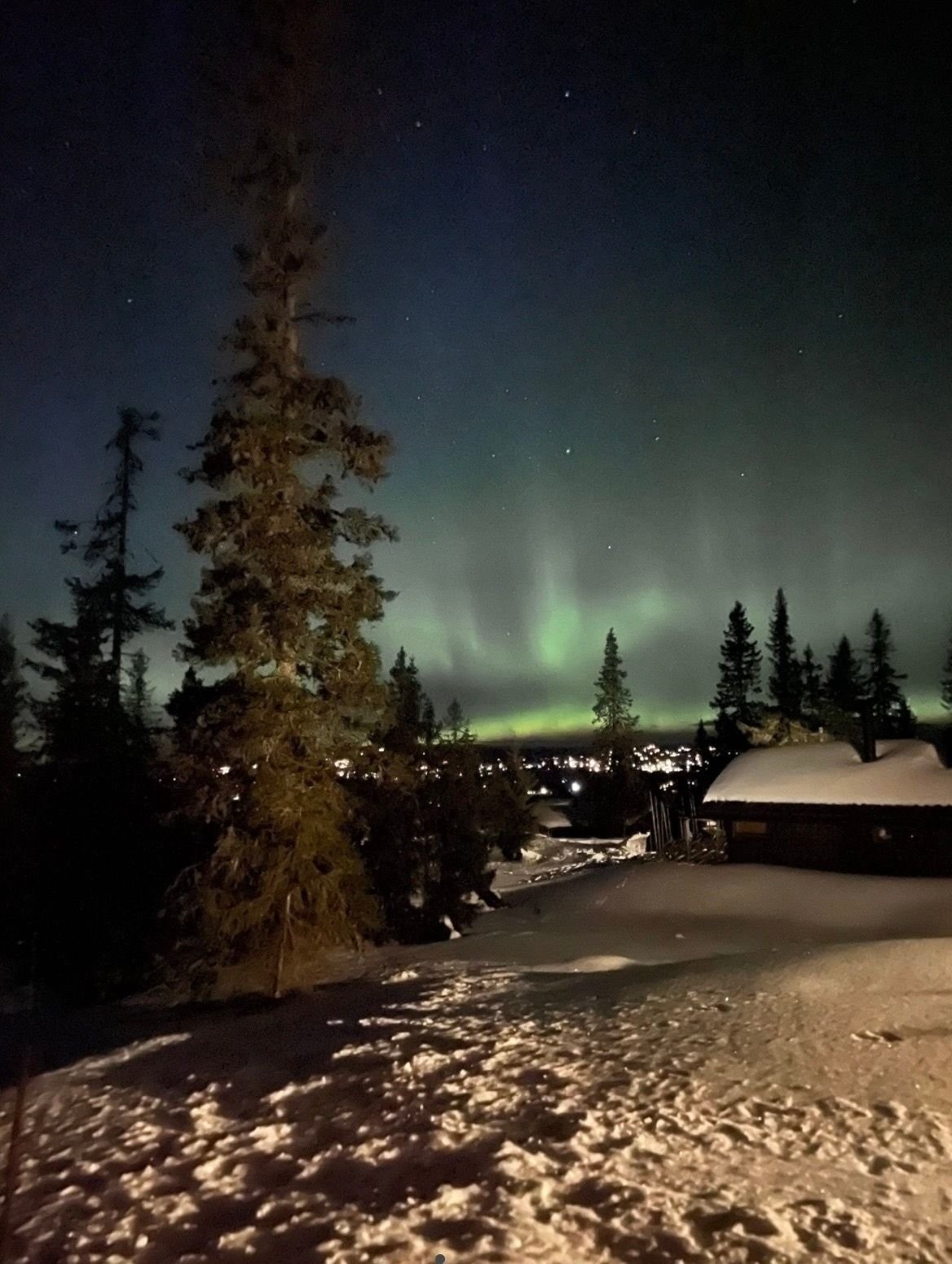 Nordlys over Sjusjøen Galleribilde