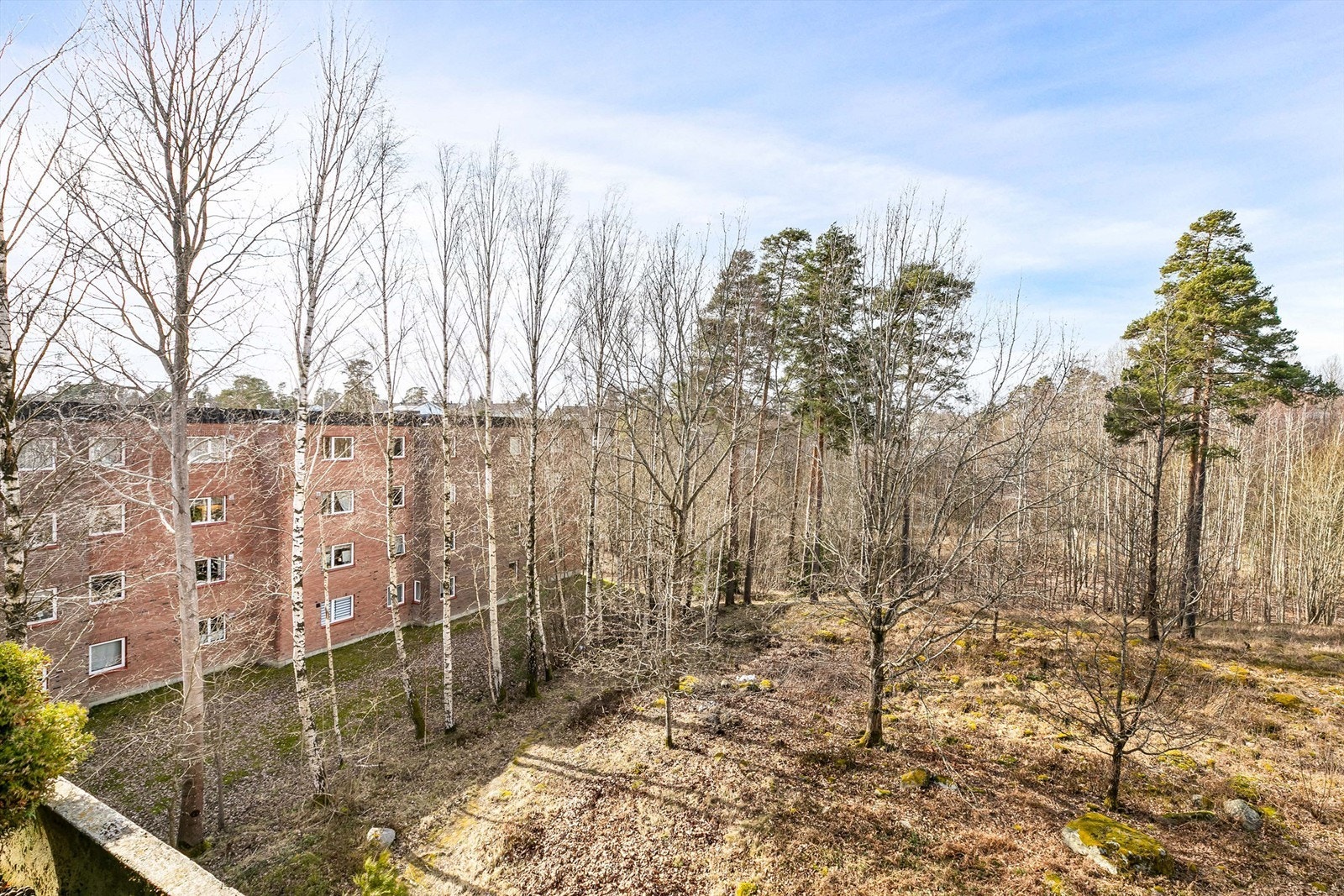 Høyden av tredje etasje gir et fint utsyn til omgivelsene. På vestsiden er det ingen bebyggelse - kun et større grøntområde. Galleribilde