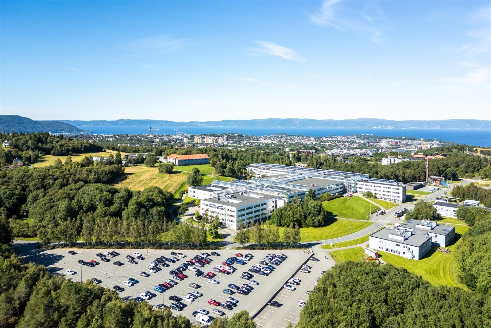 NTNU Dragvoll nås enkelt til fots på 20 minutter, eller rett i overkant av ti minutter med kollektivt. Flere av byens studiesteder nås enkelt med kollektivtransport som finnes innen gangavstand fra leiligheten. Galleribilde