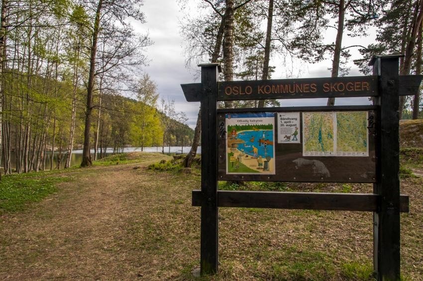 Marka i nærheten med flotte turmuligheter Galleribilde