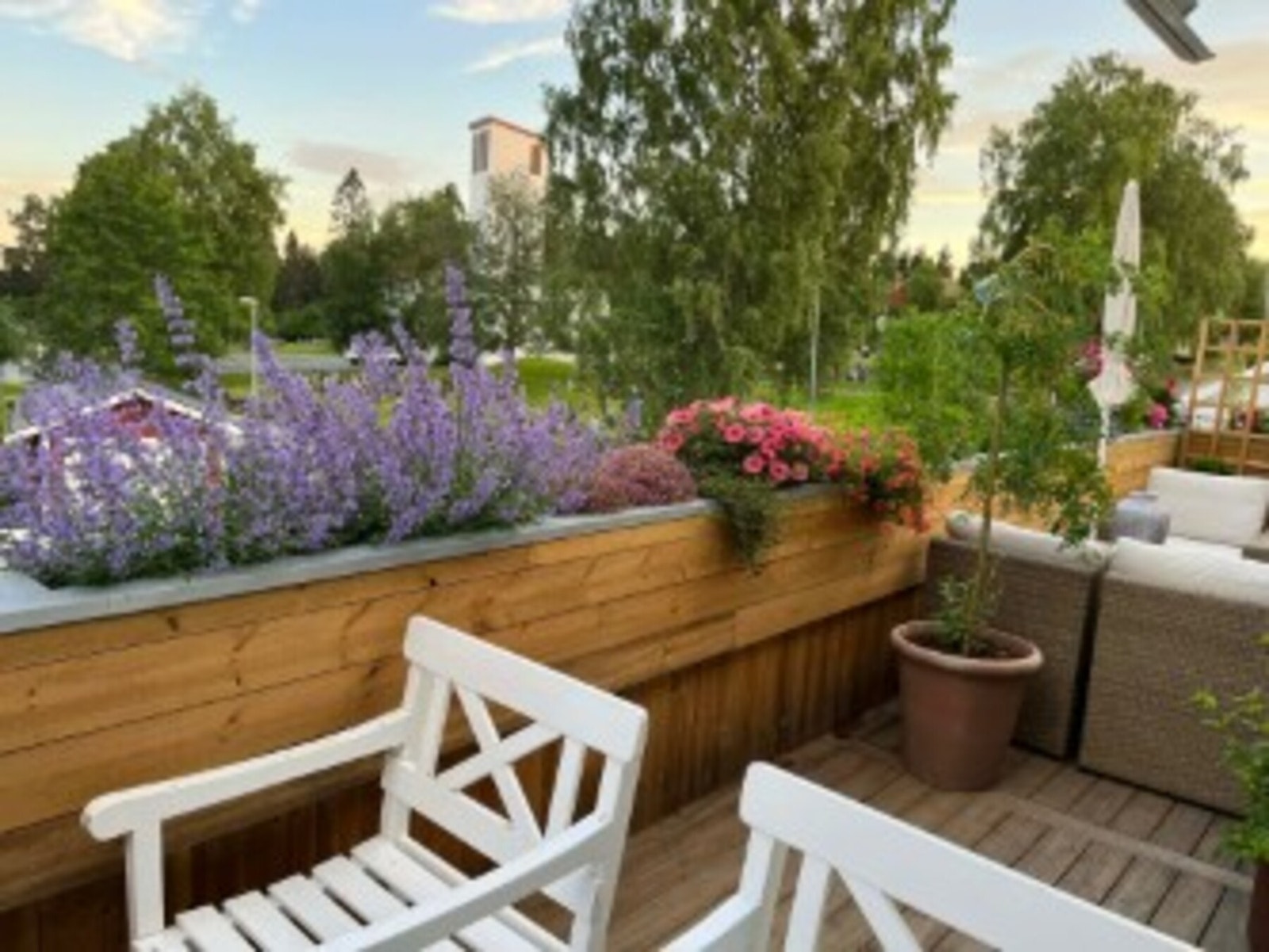 Selgers private sommerbilder fra terrassen. Galleribilde