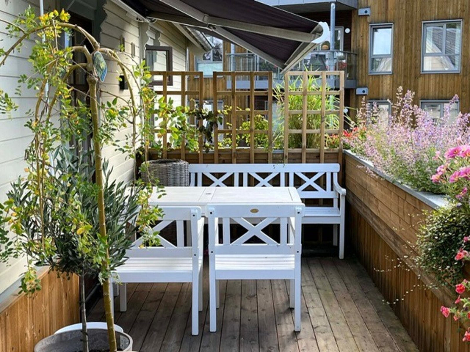 Selgers private sommerbilder fra terrassen. Galleribilde