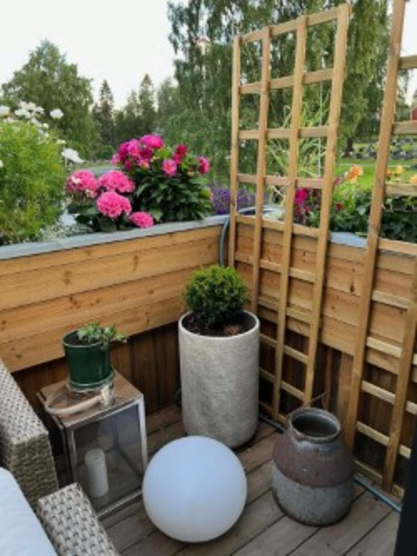 Selgers private sommerbilder fra terrassen. Galleribilde