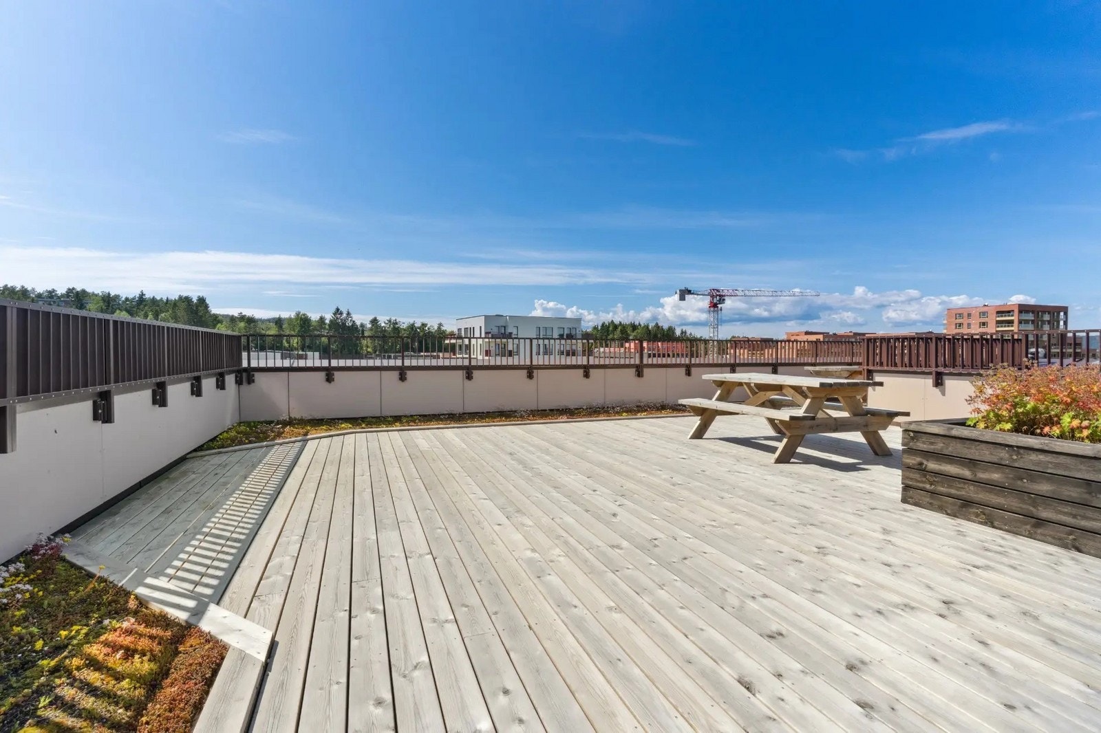 Felles takterrasse Galleribilde