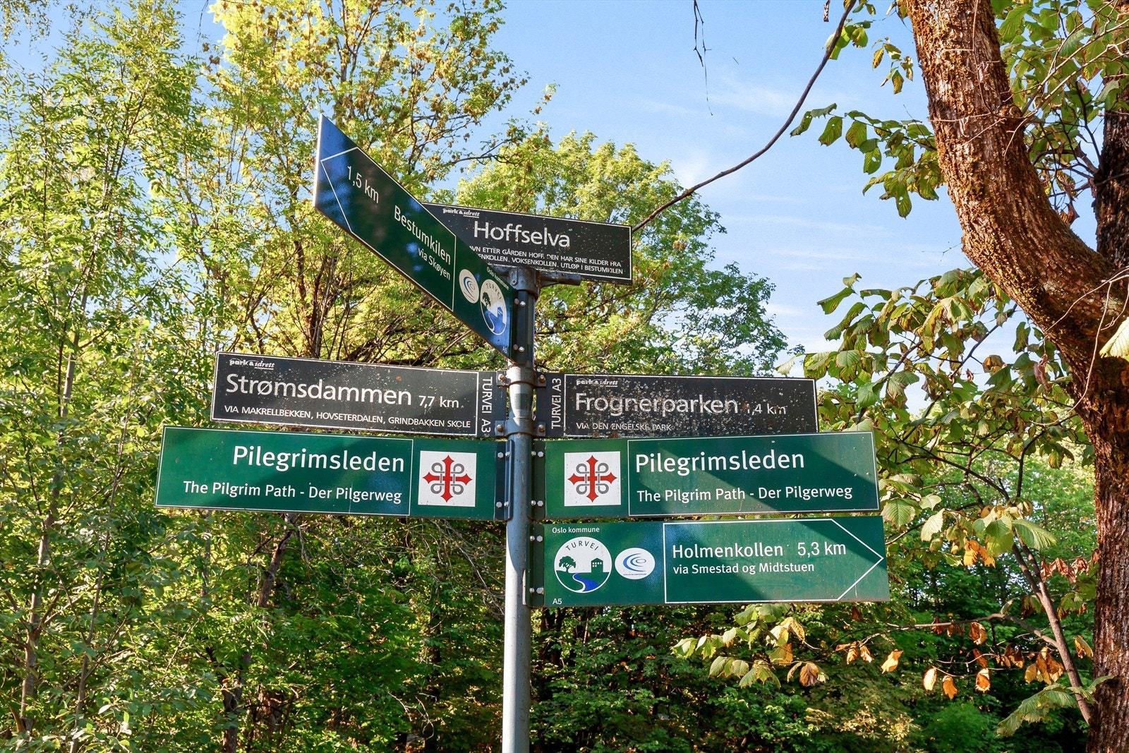 Mange, fine turstier like ved boligen. Galleribilde