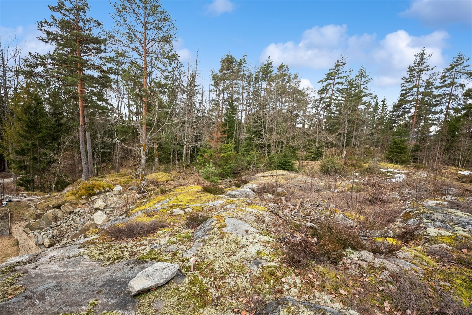 Tomten er stort sett skrånende mot syd med en del synlig fjell, trær og busker. Galleribilde
