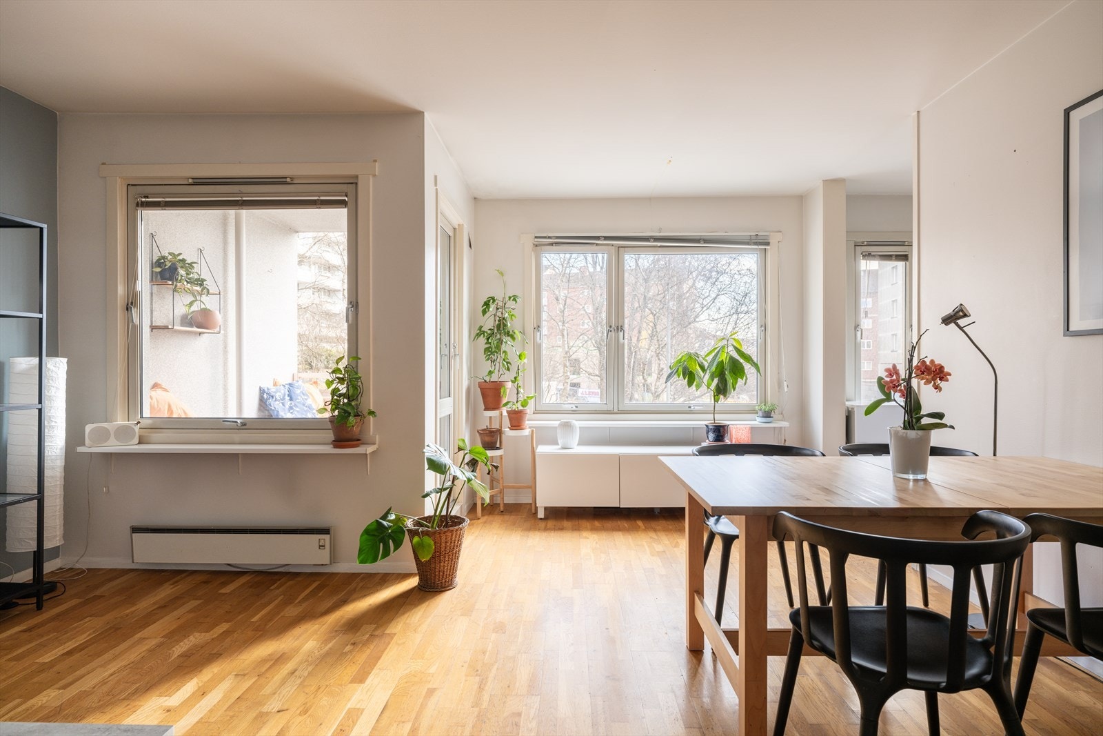 Velkommen til Vossegata 18A, presentert av Anders Wekre v/ Nordvik Bolig. Foto: Luma Foto. Galleribilde