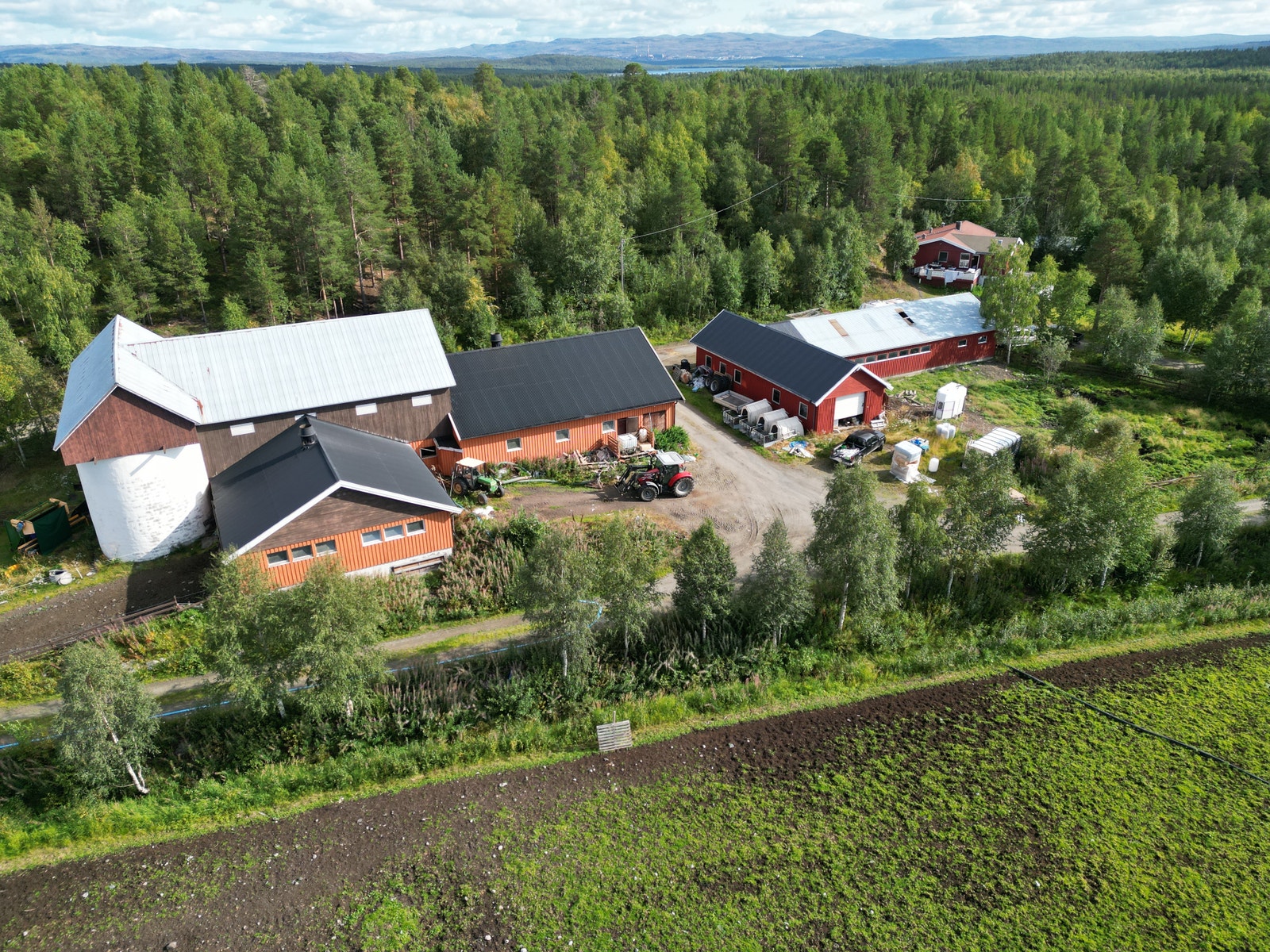 Gårdsbruk med bygninger Galleribilde