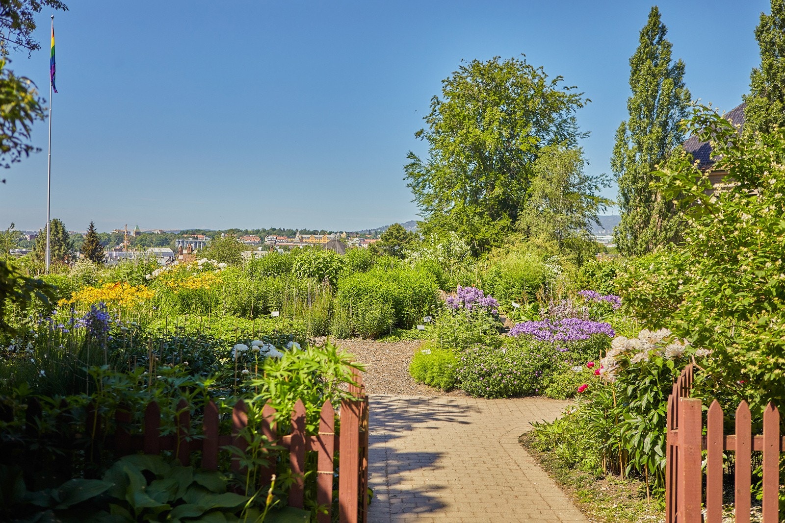 Botanisk hage Galleribilde