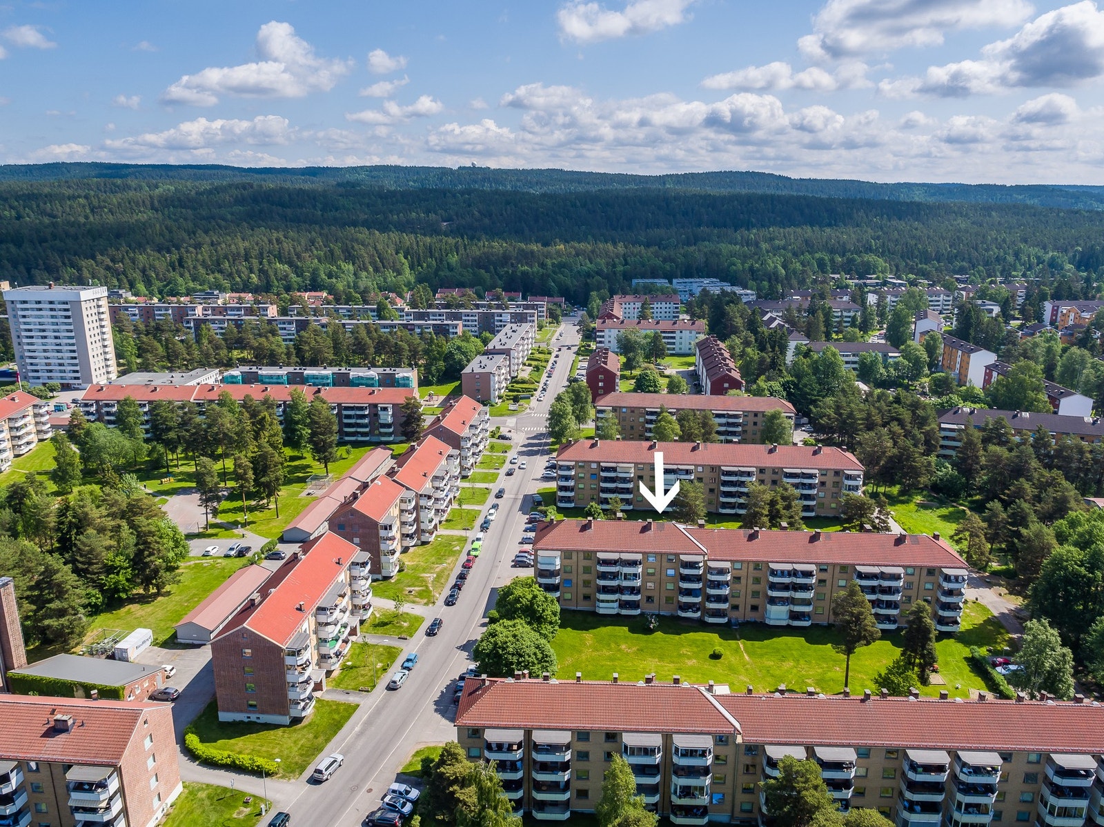 Fra leiligheten er det få minutters gange til Østmarka som ruver i bakgrunnen. Galleribilde