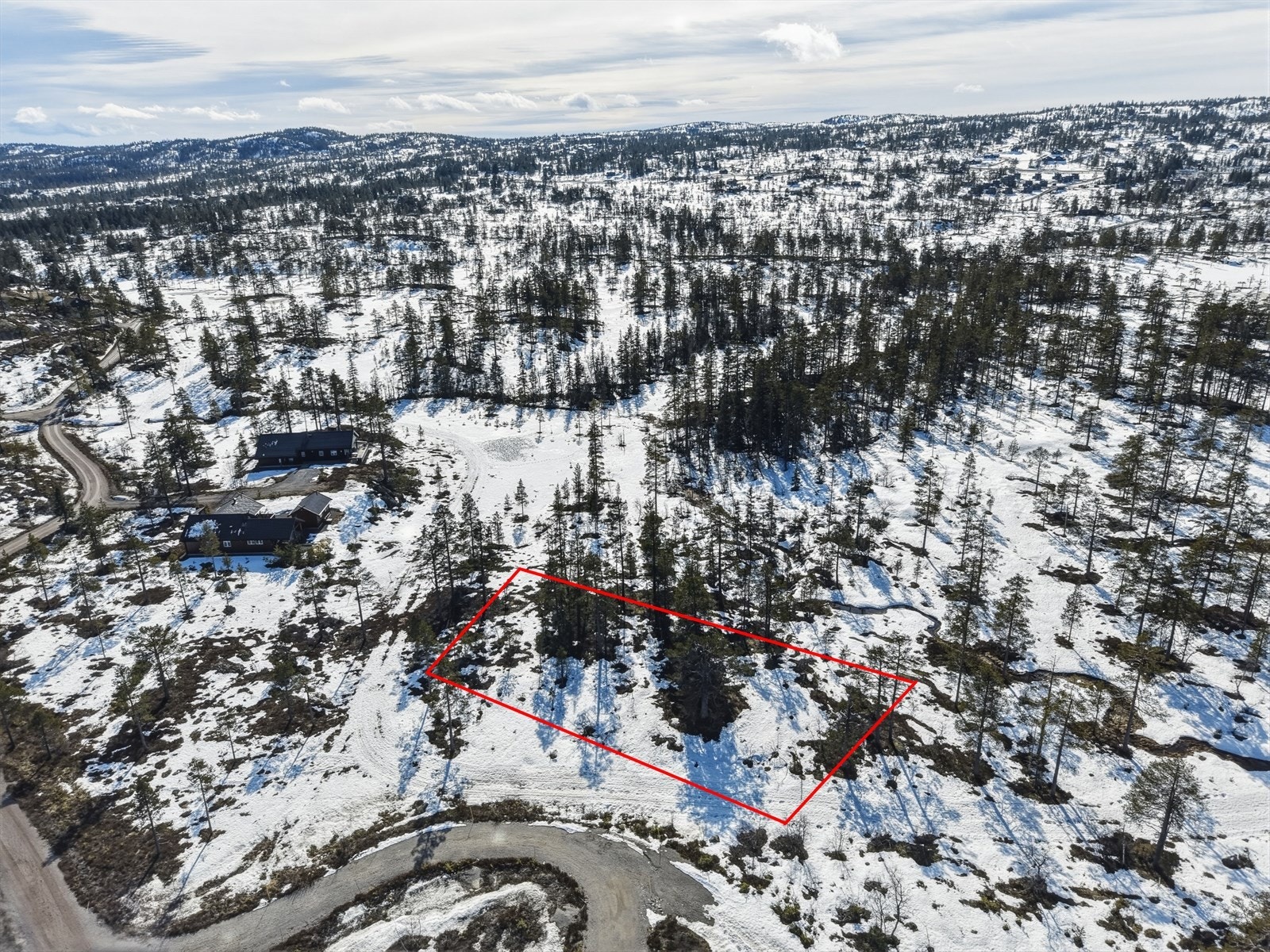 Flott turterreng Galleribilde