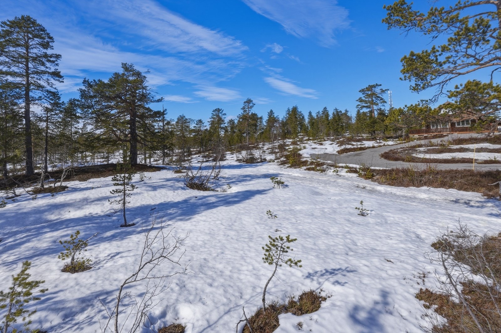 Velkommen til Tonmyrvegen Galleribilde