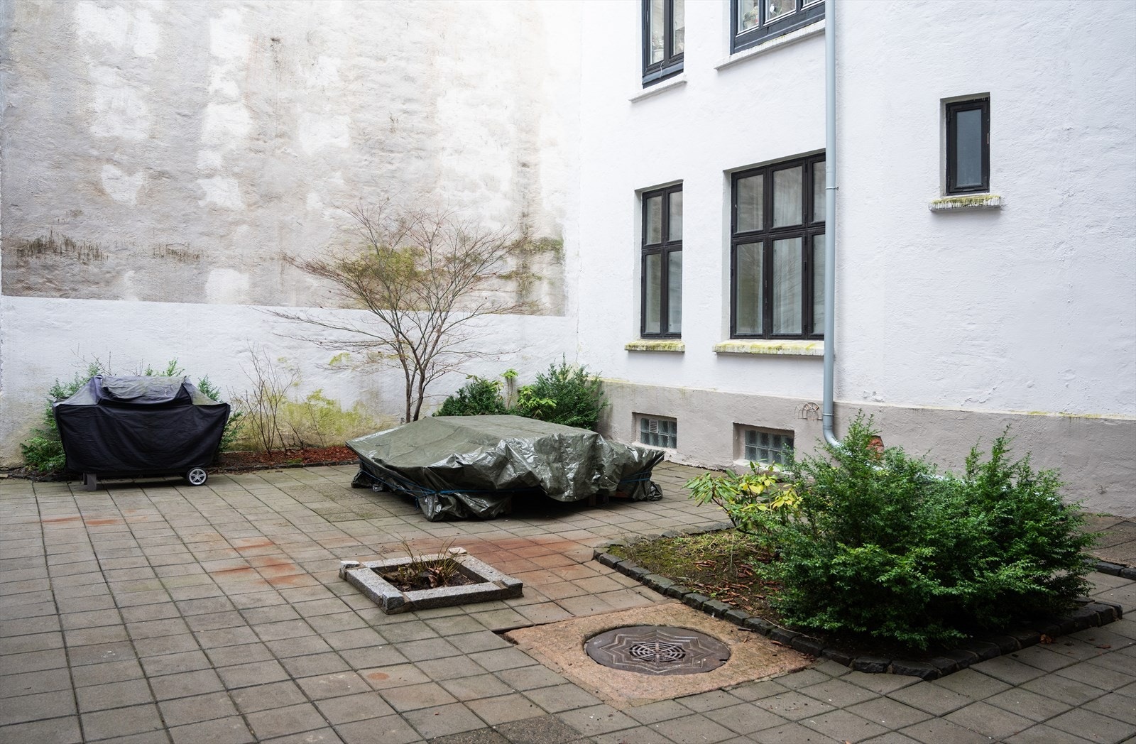 Sameiet har en felles bakgård med plass for sykkelparkering. Galleribilde
