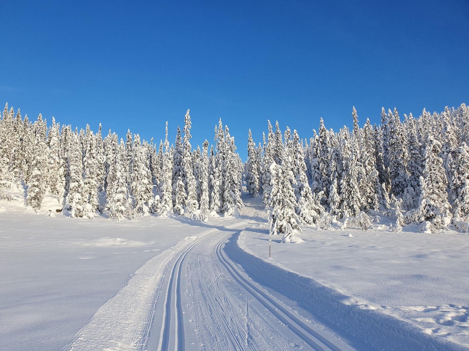 Høyfjellsløypa som går forbi hytta. Galleribilde
