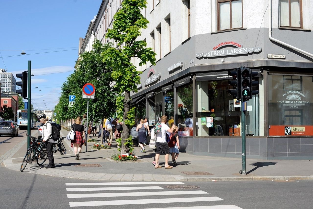 Nærområdet er spennende og med mye liv! Galleribilde