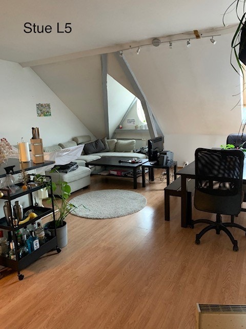 Stue 5 etg Galleribilde