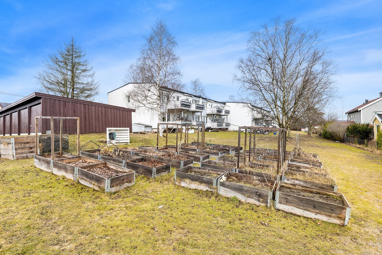 I den felles hagen er det mulighet for å disponere egne pallekarmer for dyrking. Galleribilde