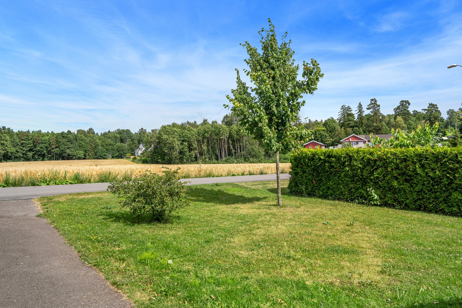 Uteområde på sameiets felles tomt Galleribilde