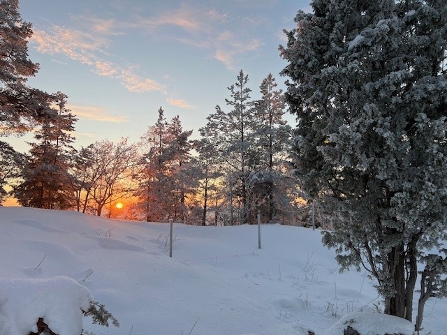 vinterstemning - privatbilde Galleribilde