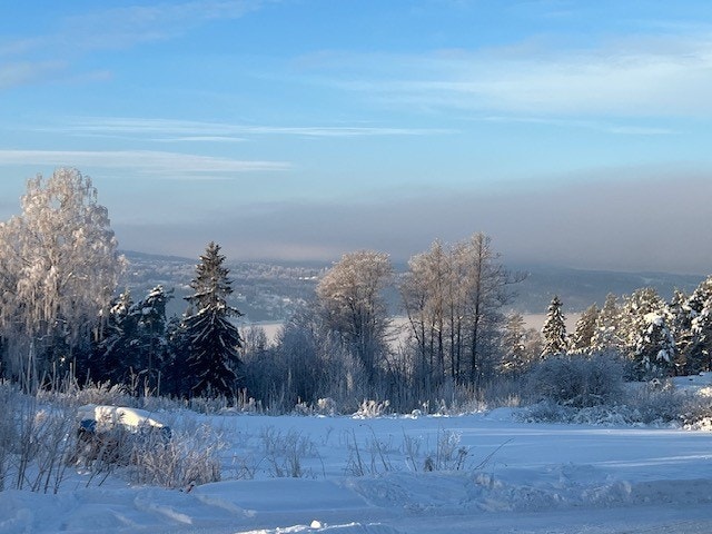 vinterstemning - privatbilde Galleribilde