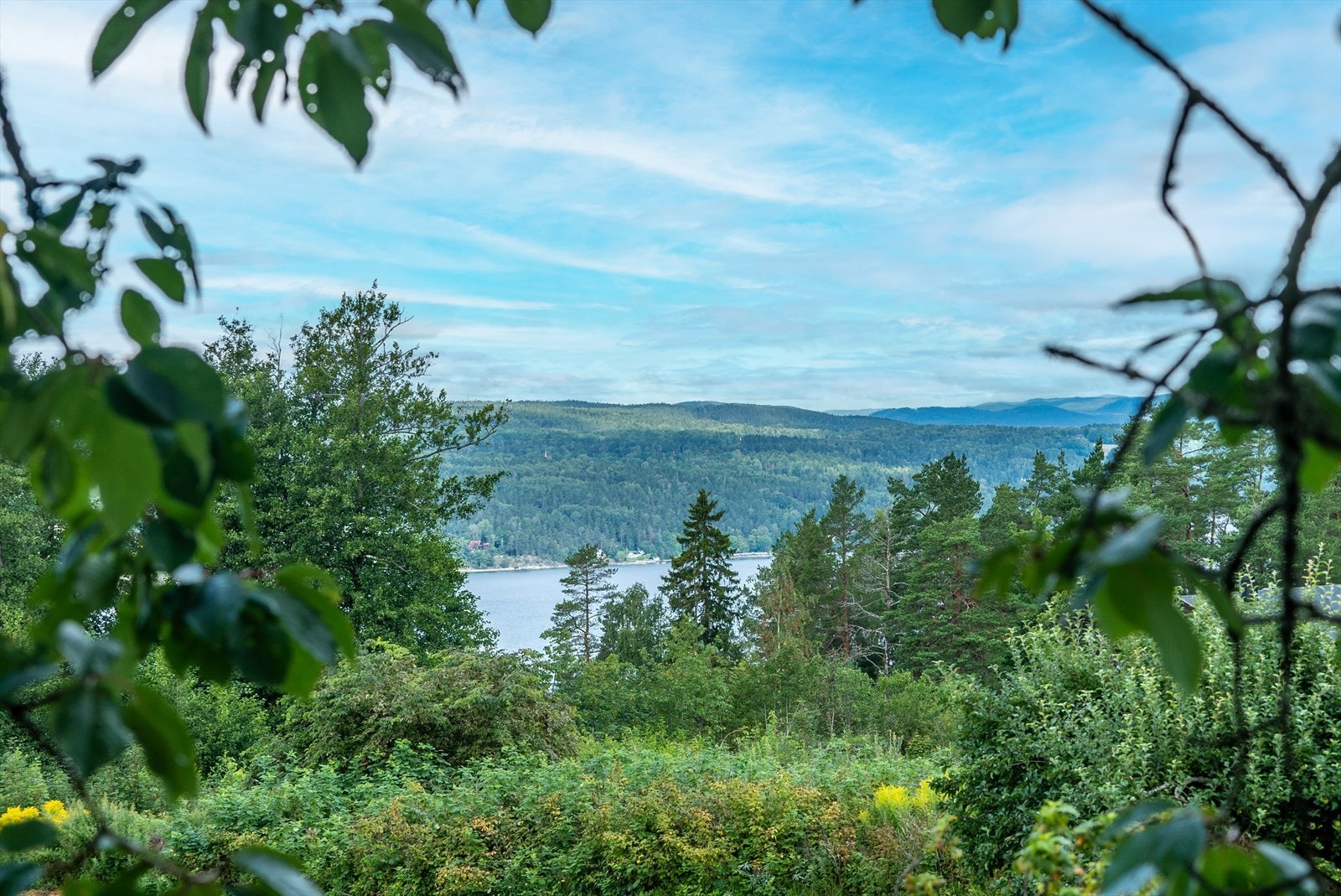 På Svartskog er naturen og sjøen i fokus Galleribilde