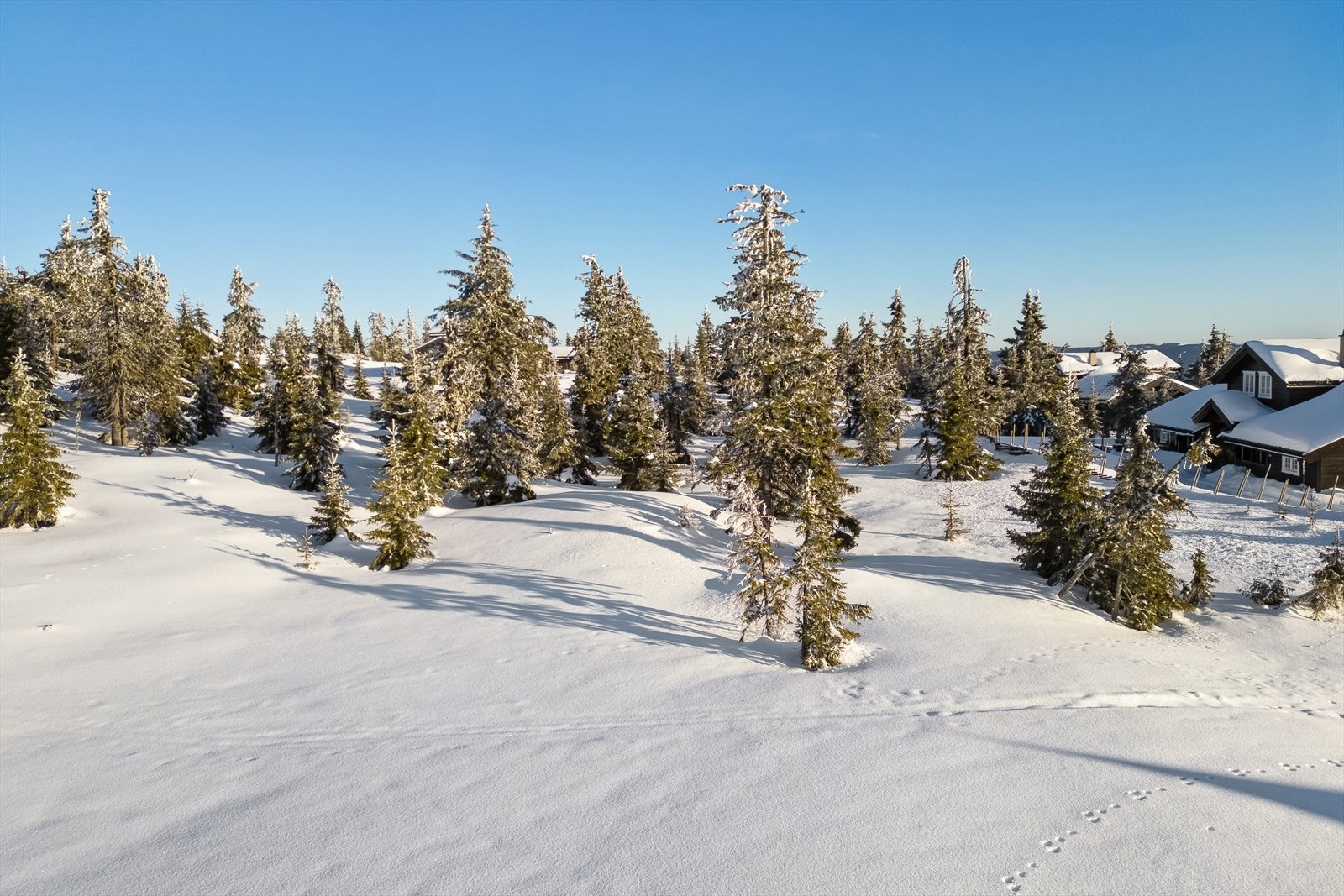 Musdalsæter ligger ved inngangen til Peer Gynts rike og er et helt unikt område for de som vil bo på fjellet i naturskjønne, snøsikre, og rolige omgivelser. Galleribilde