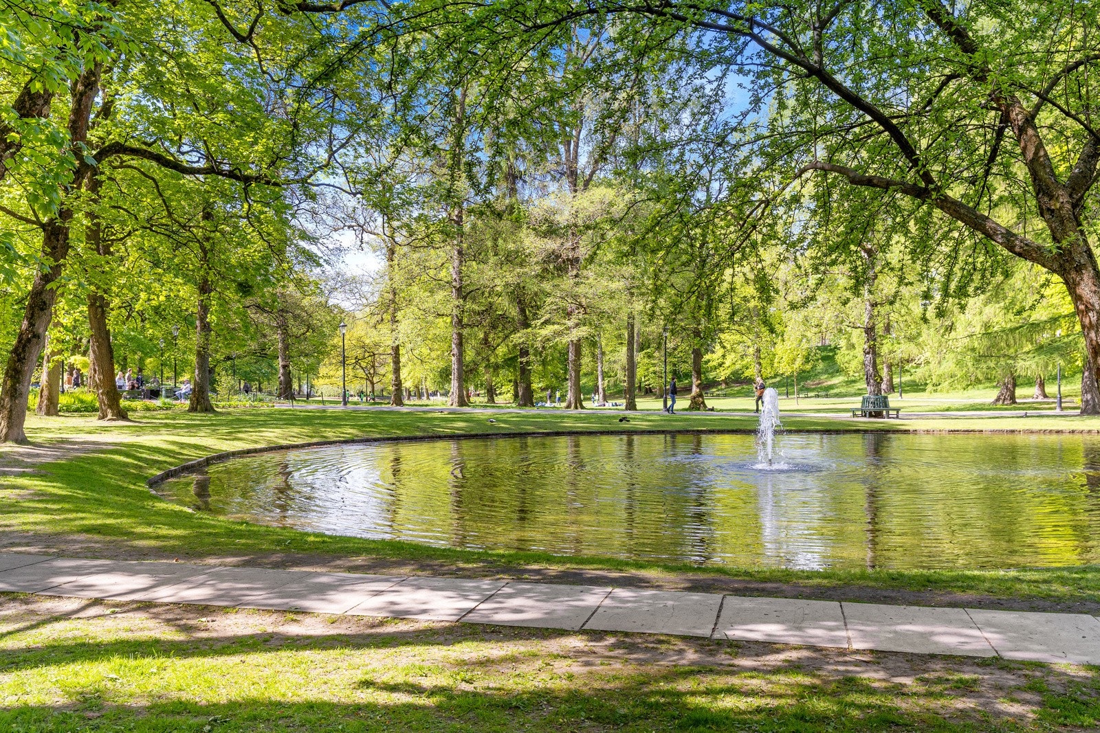 Slottsparken ligger rett ved, og i tillegg er det få minutters gange til Stensparken, St. Hanshaugen park og Frognerparken Galleribilde