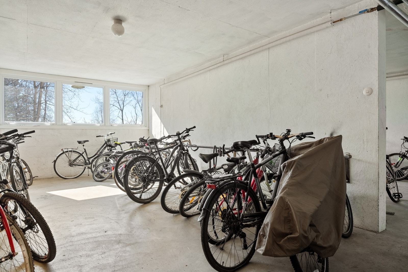 Det er også en stor sykkelbod. Galleribilde