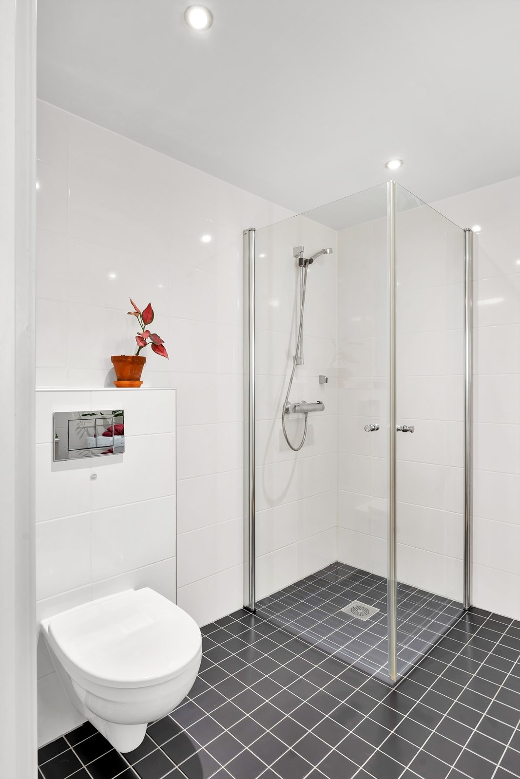 Vegghengt toalett og dusjkabinett med praktiske innfellbare glassdører. Galleribilde