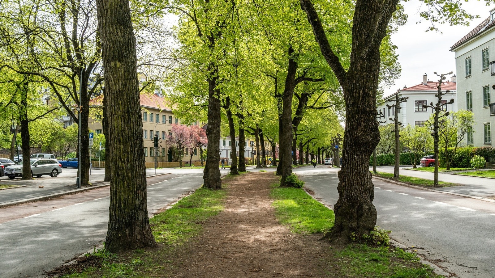 Leiligheten ligger sentralt i Briskeby på Frogner, et av Oslos mest attraktive nabolag. Galleribilde