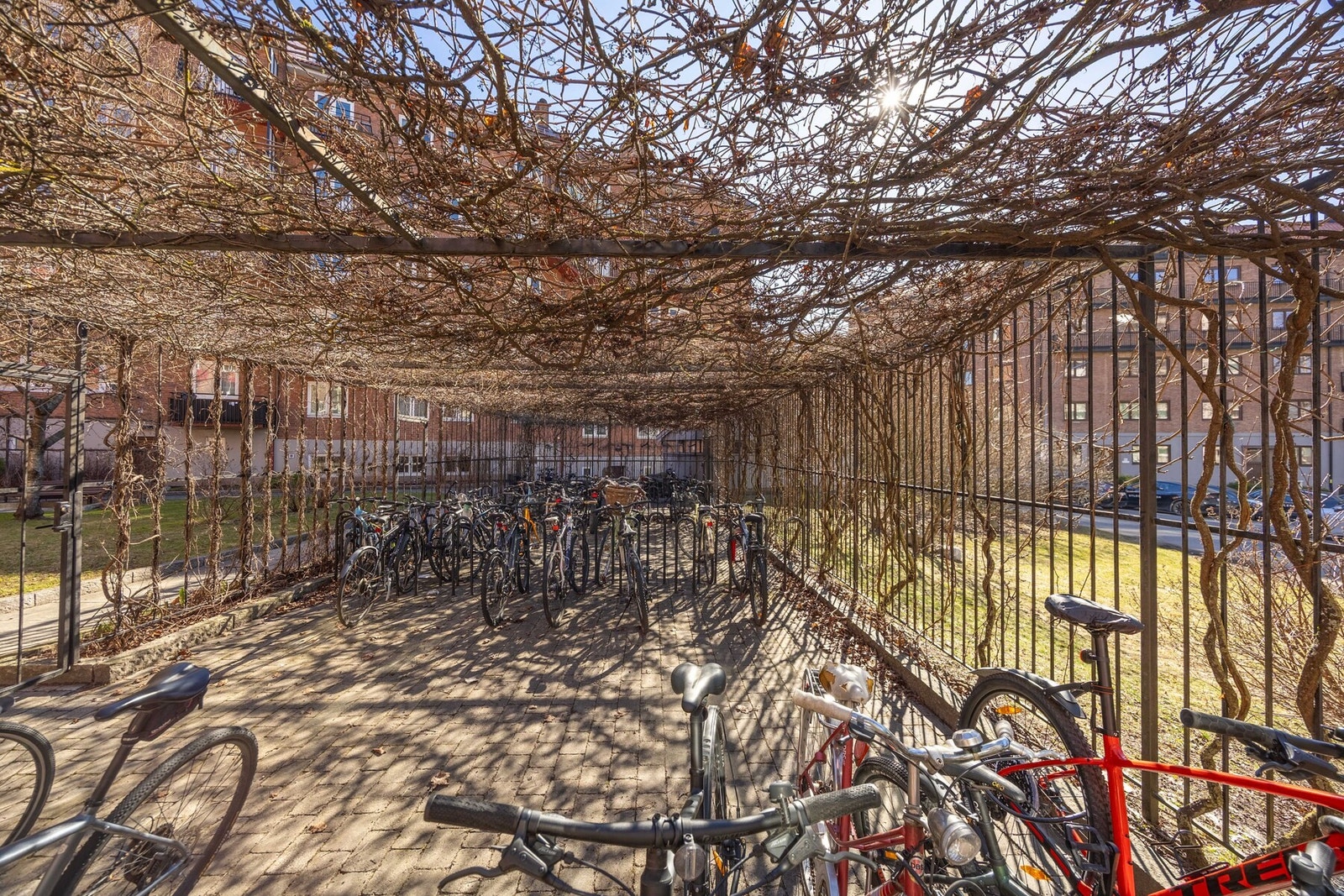Opparbeidet med utendør sykkelparkering. Galleribilde