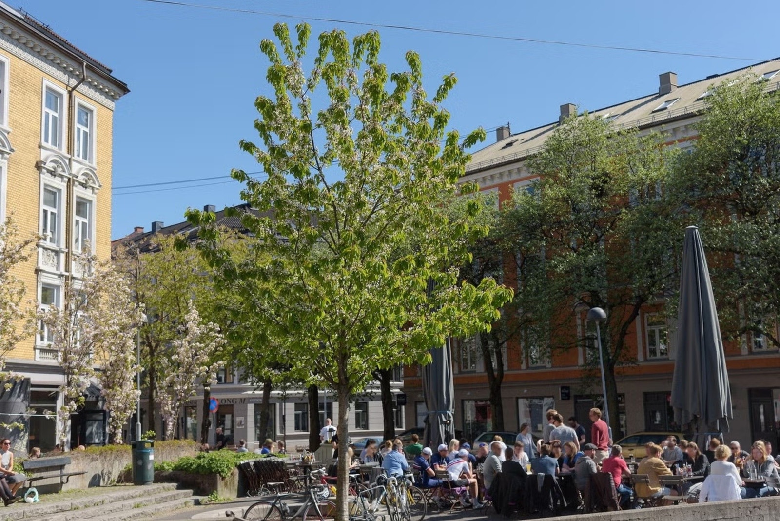Vertshuset Grisen er en av flere lokale restauranter med flott uteservering sommerstid. Galleribilde