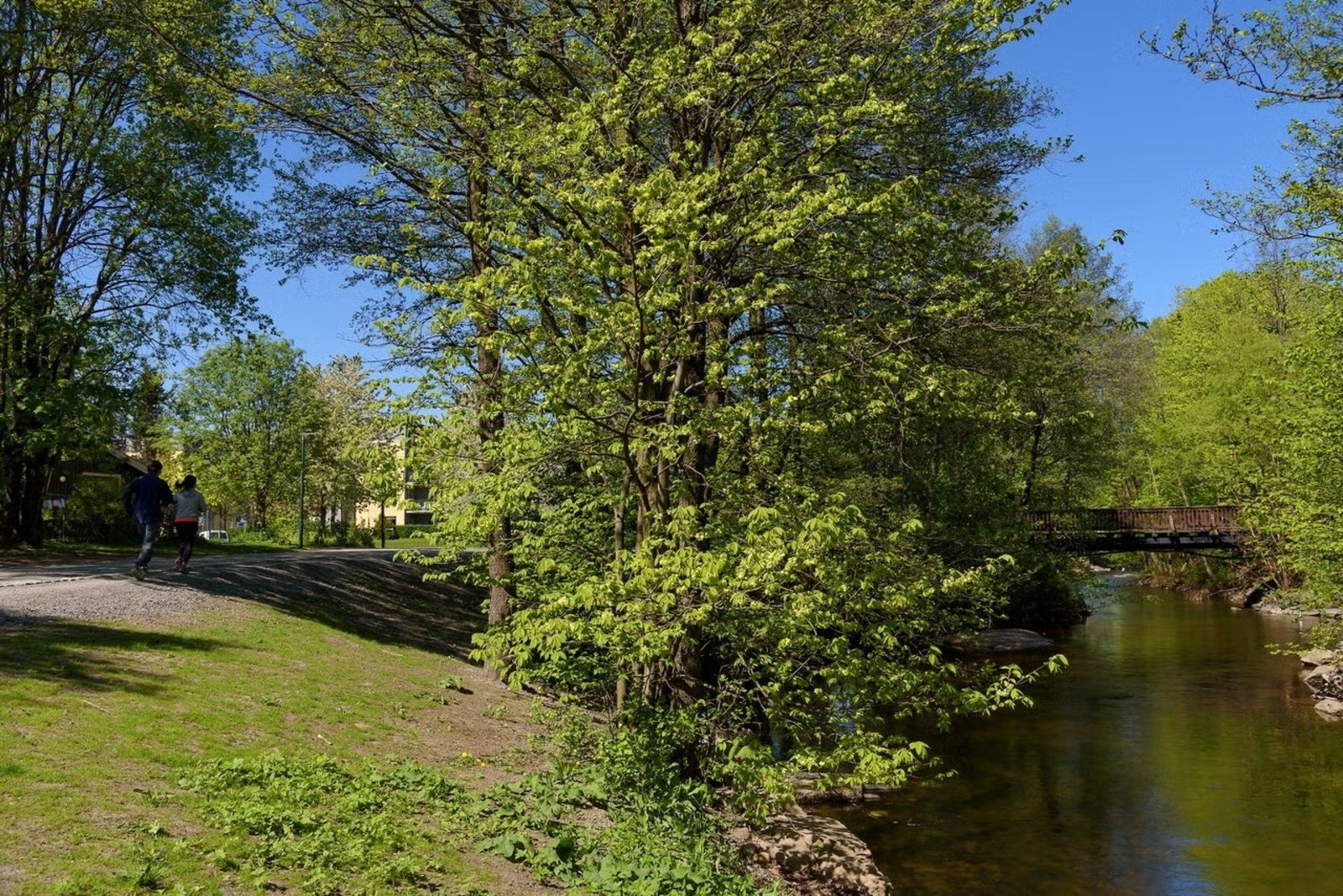 Akerselva med tursti like ved. Denne tar deg ned til sentrum og helt opp til Maridalen. Galleribilde