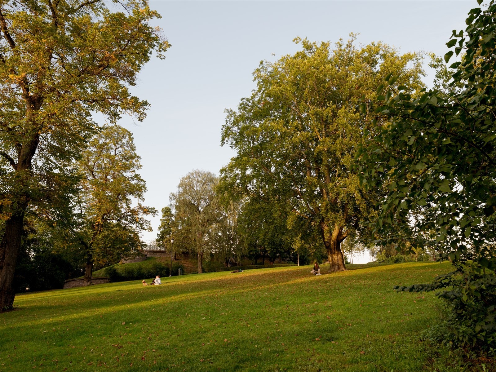 Kampen park ligger på en høyde over Oslo, med yppelige sol- og utsiktsforhold. Et sted perfekt for å samle venner til soling og grilling. Galleribilde