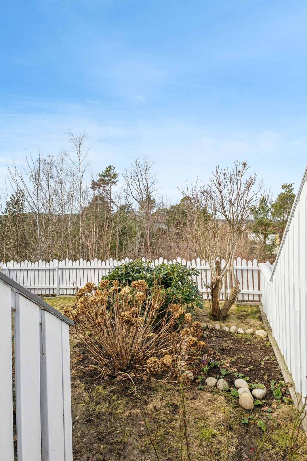 Hageområde sett fra terrassen, med grøntarealer, blomsterbed og prydbusker. Galleribilde