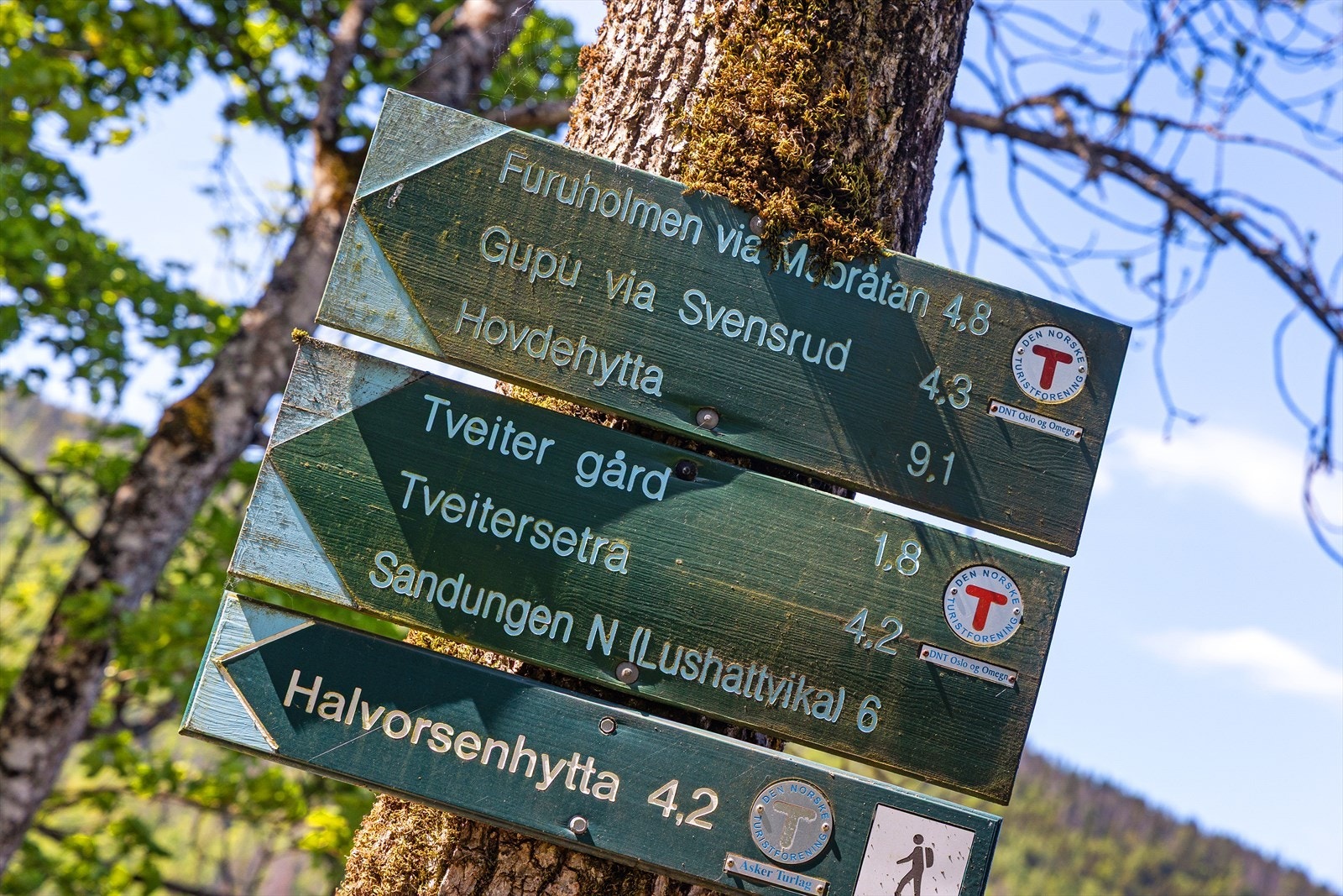 Det er fine turmuligheter i området. Galleribilde
