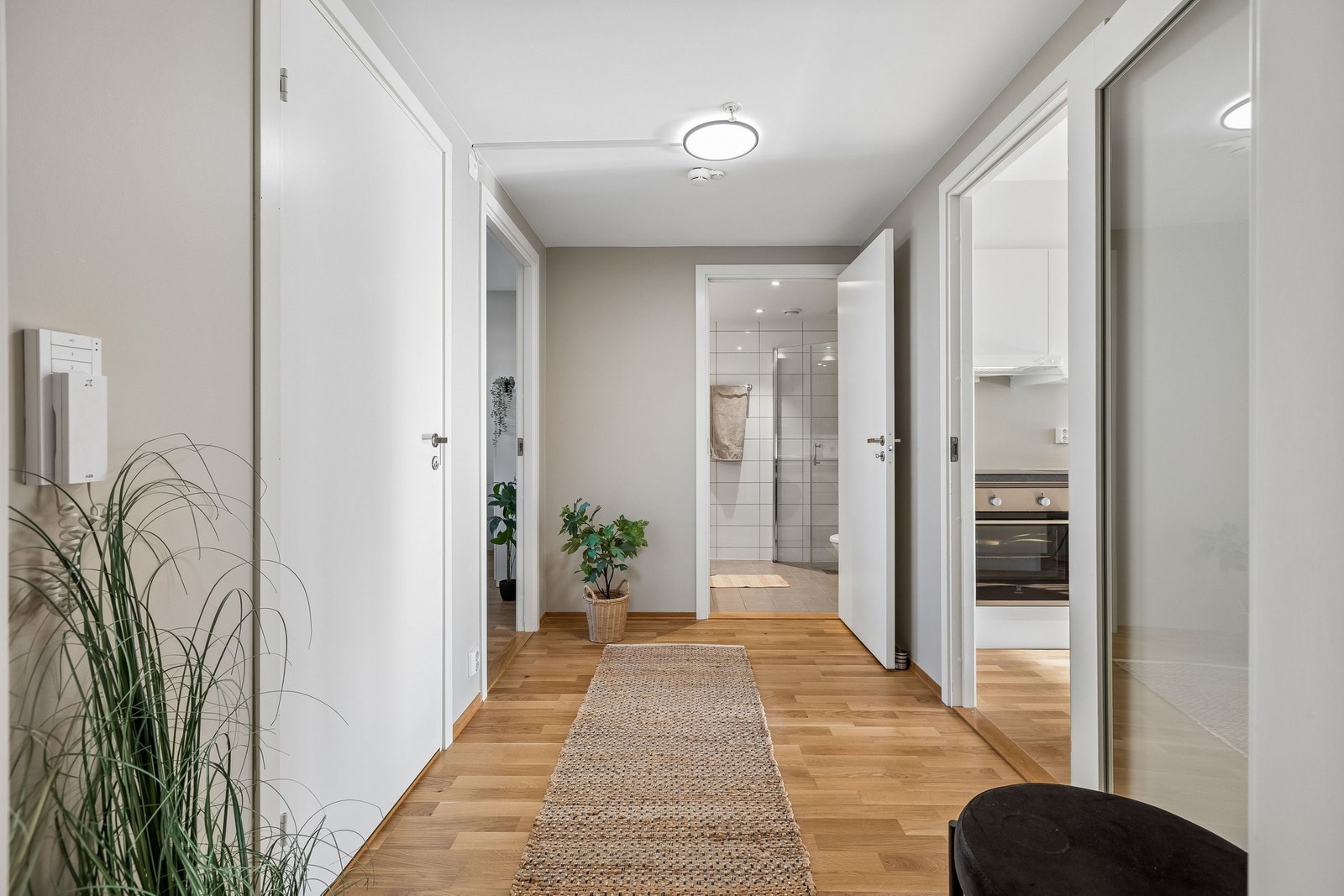 Gang i hovedenheten Galleribilde