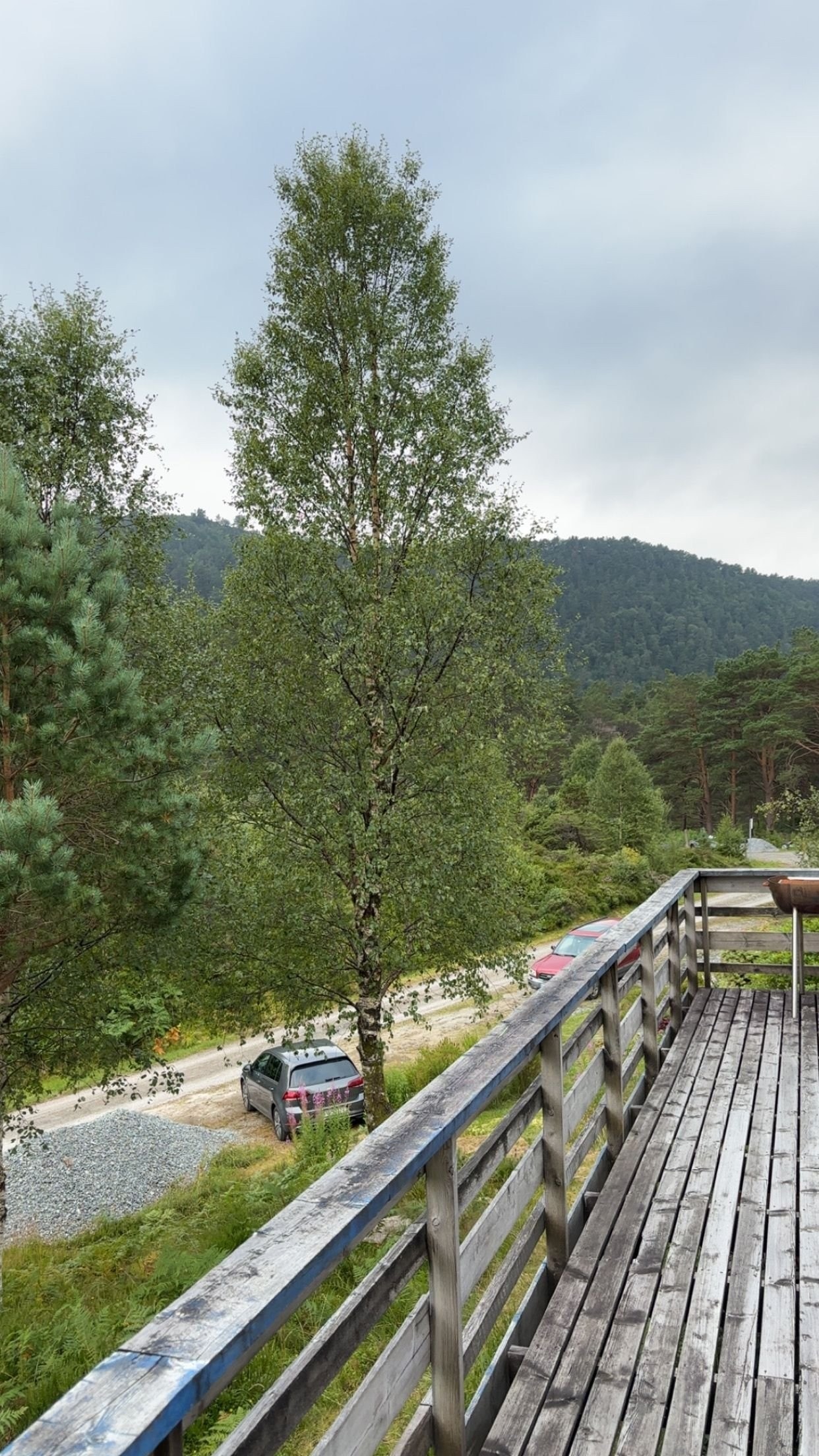 Utsikt fra terrasse mot parkering. Galleribilde