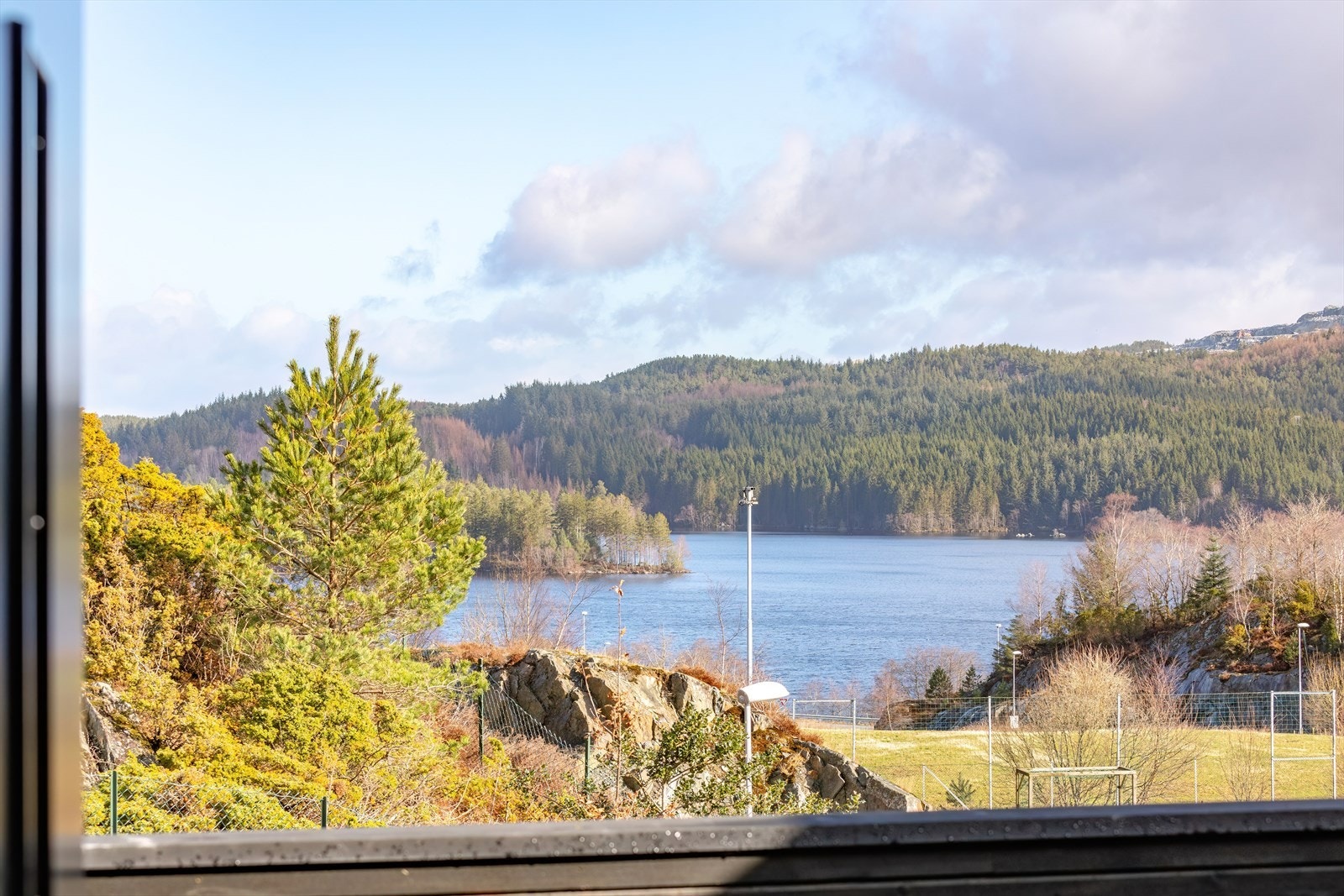 Utsikten mot vannet og skogen gir en rolig og naturskjønn opplevelse. Galleribilde