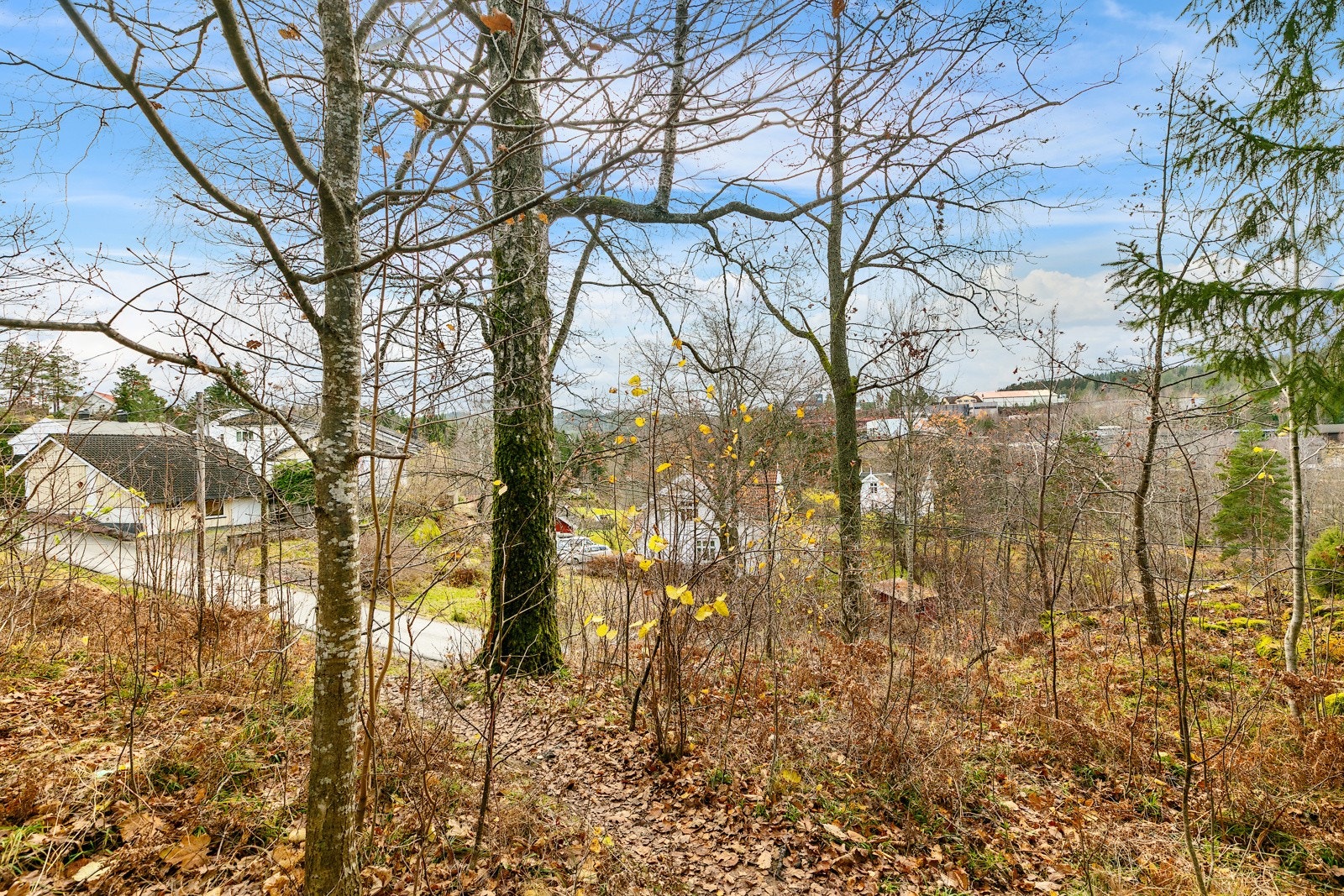 På eiendommen. Galleribilde