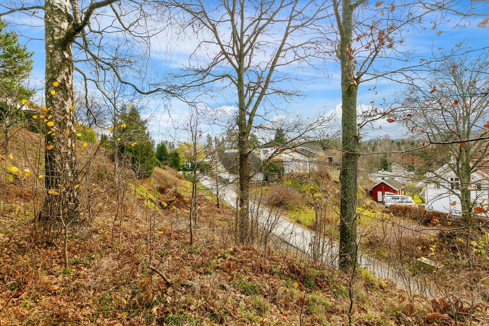 På eiendommen. Galleribilde